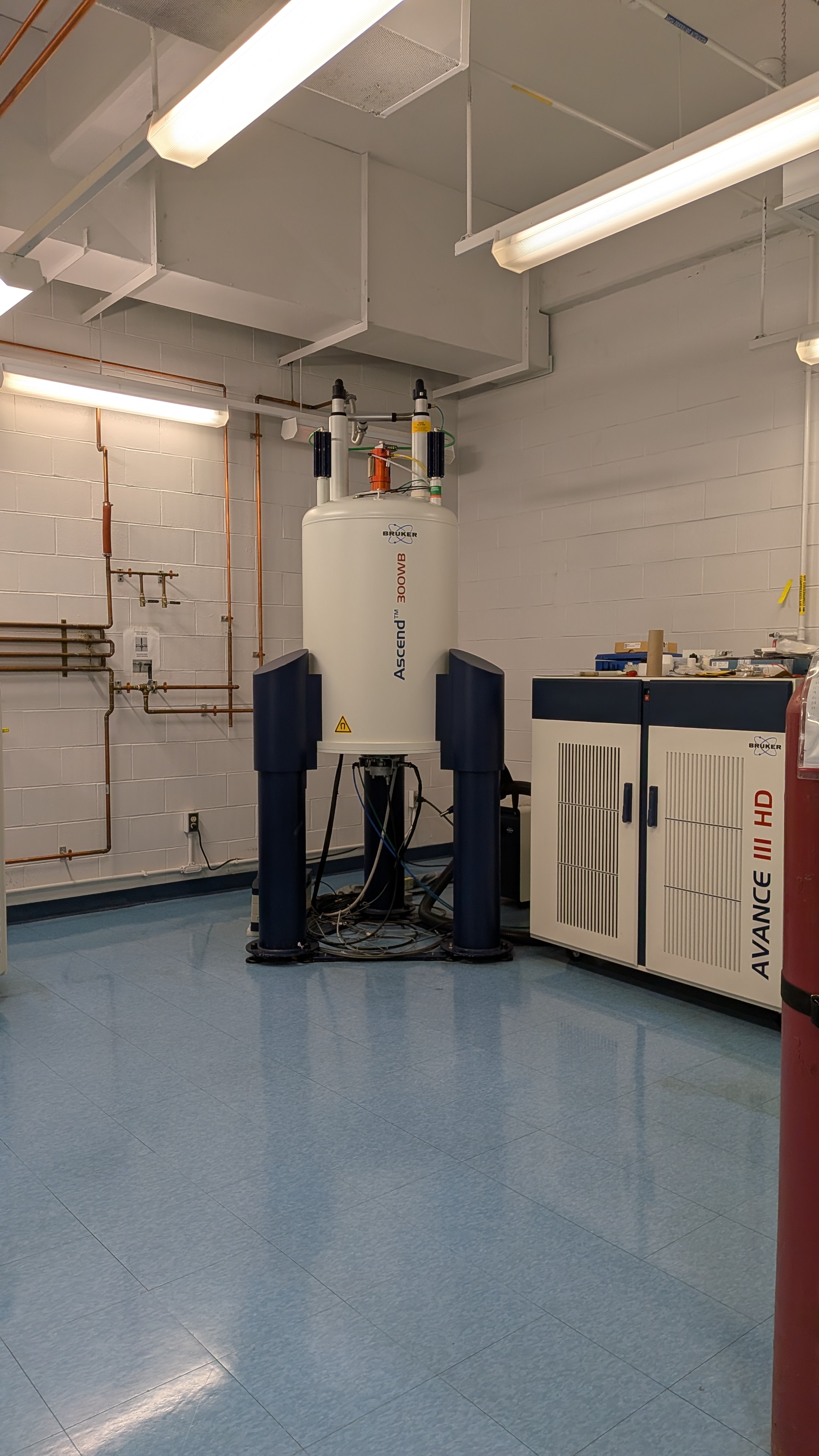 The 300 MHz NMR magnet